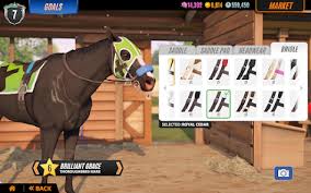 An image showcasing the erratic movements of a horse